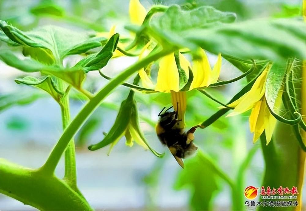 强信心 起好步 开新局丨科技赋能，食品企业以温湿度控制器加速生产